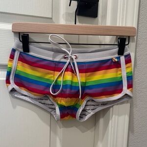 Andrew Christian Rainbow Stripe Swim Trunks